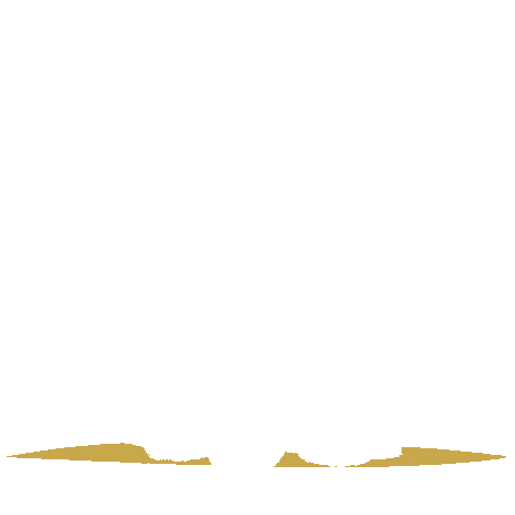 Big Dog Pet Supply